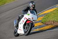 PJ-Motorsport-2019;anglesey-no-limits-trackday;anglesey-photographs;anglesey-trackday-photographs;enduro-digital-images;event-digital-images;eventdigitalimages;no-limits-trackdays;peter-wileman-photography;racing-digital-images;trac-mon;trackday-digital-images;trackday-photos;ty-croes